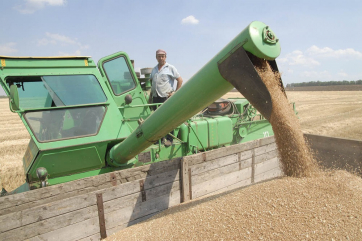 К 2035 году в России будут собирать по 140 млн тонн зерна - Минсельхоз